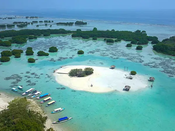 Paket Wisata Pulau Pari - Pantai Pasir Perawan Kepulauan Seribu